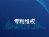 专利维权