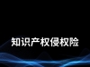 知识产权侵权险